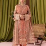 3 piece embroidery chiffon party wear outfit