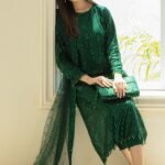 3 piece unstitched chiffon fancy dress